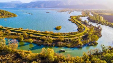 Hutovo Blato Nature Monument BA-0020